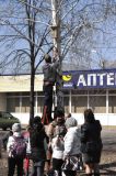 Акция «Дом для птиц»