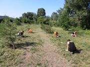Акция «Чистая площадка»