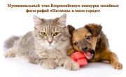 Подробнее...
