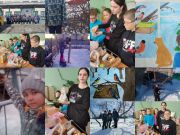 Подробнее...